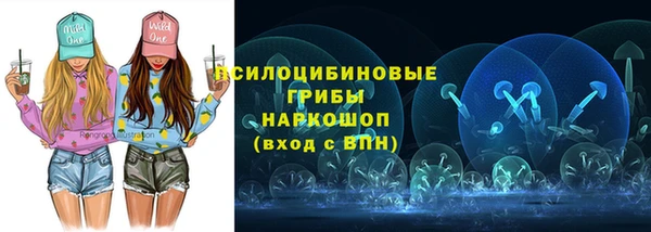 эйфоретик Краснослободск