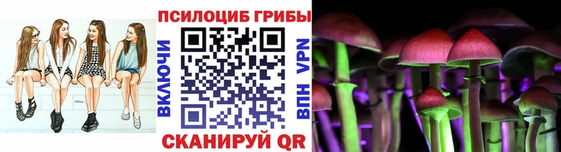 как найти закладки  Трёхгорный  Галлюциногенные грибы Psilocybe 